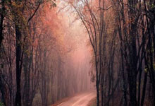 QY球友会：剑南春｜皇马客场2-1逆转黄潜，姆巴佩6分钟2球，库尔图瓦屡救险.