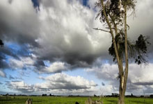 QY球友会：[NBA]常规赛3月1日：快船VS 詹姆斯集锦.