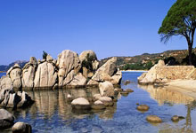 拳击——世界女子锦标赛：中国队总成绩排名第四.